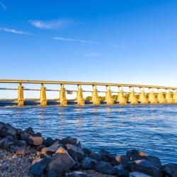 康威 13家宠物友好酒店