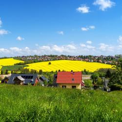 伊尔梅瑙 3家民宿