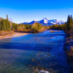 卡纳纳斯基斯村 3家豪华帐篷营地