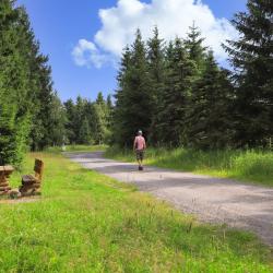 马瑟尔贝格 3家豪华型酒店