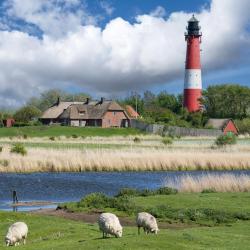 佩尔沃姆 185家住宿