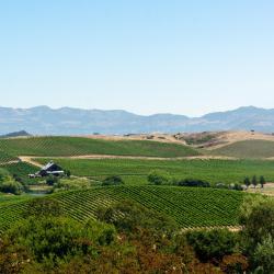 扬特维尔 9家住宿