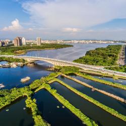 安平区 8家住宿