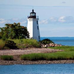 布里奇波特 12家宠物友好酒店