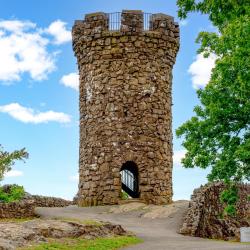 梅里登 5家宠物友好酒店