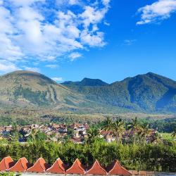 加鲁特 13家带泳池的酒店