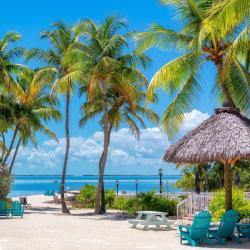 拉哥 97家宠物友好酒店