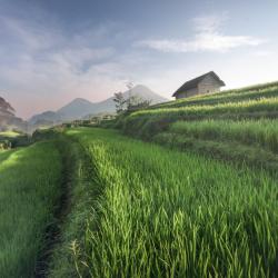 Mojokerto 6家带泳池的酒店