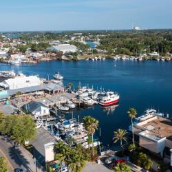 塔彭斯普林斯 17家宠物友好酒店