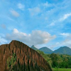 山口洋 4家乡村别墅