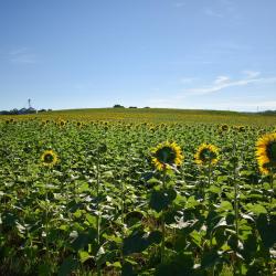 钱伯斯堡 3家自助式住宿