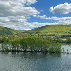 威廉波特 3家带热水浴缸的酒店