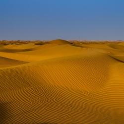 阿尔卡吉 13家宠物友好酒店