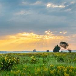 马里恩 6家低价酒店