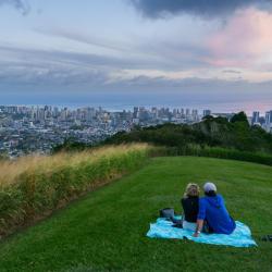 檀香山 335家自助式住宿