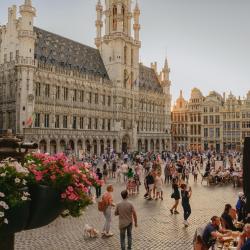 布鲁塞尔 1209家住宿