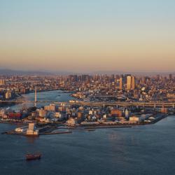 大阪 619家带热水浴缸的酒店