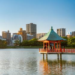 福冈 12家带泳池的酒店