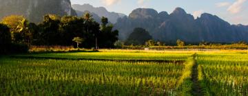 老挝的度假村