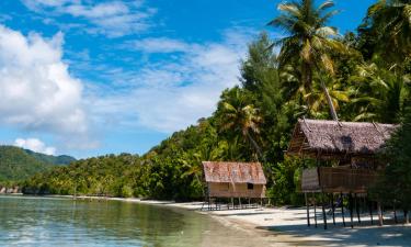 巴布亚新几内亚的度假村