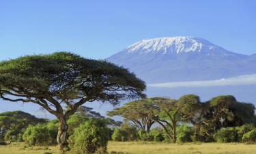 坦桑尼亚的青旅
