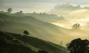 喀麦隆的旅馆