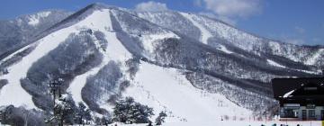 Madarao Mountain Resort的酒店