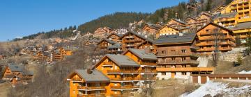 Meribel Village 1400的酒店