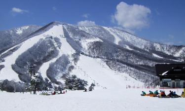 Madarao Mountain Resort的酒店