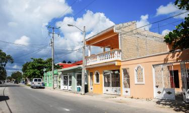 Tulum City Centre的酒店