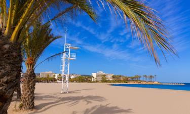 Playa del Arenal的酒店