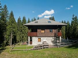 Apartments Villa Vesna Pokljuka，位于Goreljek的公寓