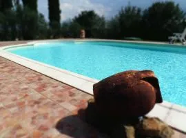 Podere La Capacciola