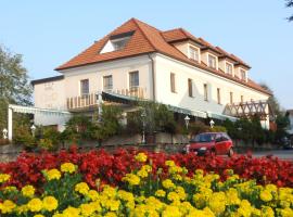 Hotel Geier，位于巴特舍瑙的酒店