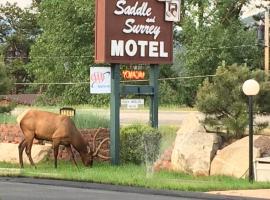 Saddle & Surrey Motel，位于埃斯蒂斯帕克的汽车旅馆