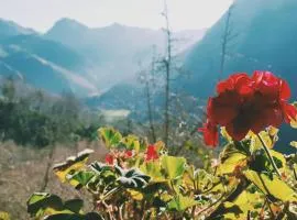 Sol de Asturias