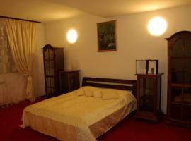 G俱乐部酒店，位于德罗贝塔-塞维林堡的酒店