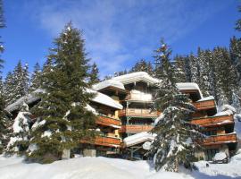 Alpen Appartements Zauchensee，位于扎奥岑湖的酒店