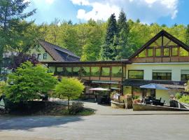 Siegerland-Hotel，位于弗罗伊登贝格的酒店
