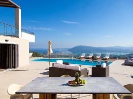 Alivia Lefkas Luxury Villas，位于Apolpaina的酒店