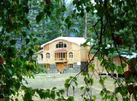 Hotel Tusheti，位于Omalo的酒店