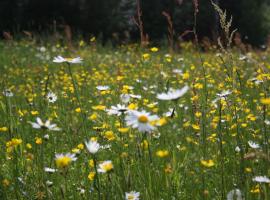 Aasa Holiday Homes，位于Kärsu的酒店