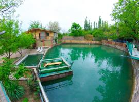 Amiran's Lake