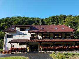 Pensiunea Floare De Colt，位于Poiana Galdei的酒店