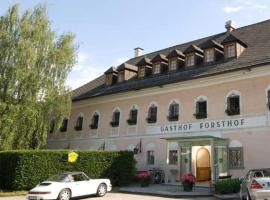 Landhotel Forsthof，位于Sierning的酒店