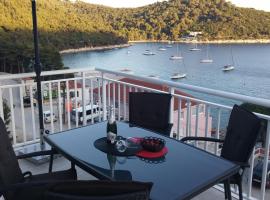 Apartments Pavlić，位于萨普伦纳拉的住宿