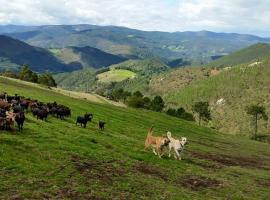 Hotel Rural Yeguada Albeitar，位于Villayón的酒店