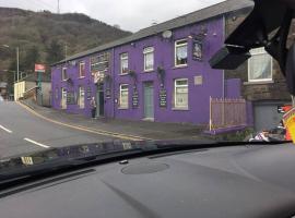 Ivor Hael Hotel，位于Llwyn-y-pia的酒店