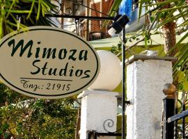 Mimoza Studios，位于斯基亚索斯镇的酒店