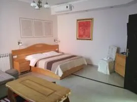 德里纳公寓